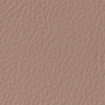 �A���W���@fiat �V�[�g�J�o�[