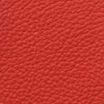 �A���W���@fiat �V�[�g�J�o�[