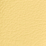 �A���W���@fiat �V�[�g�J�o�[