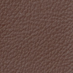 �A���W���@fiat �V�[�g�J�o�[