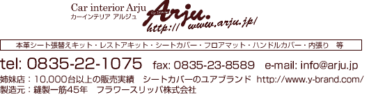 �J�[�C���e���A�@�A���W��